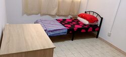 Blk 287 Tampines Street 22 (Tampines), HDB 3 Rooms #554337891